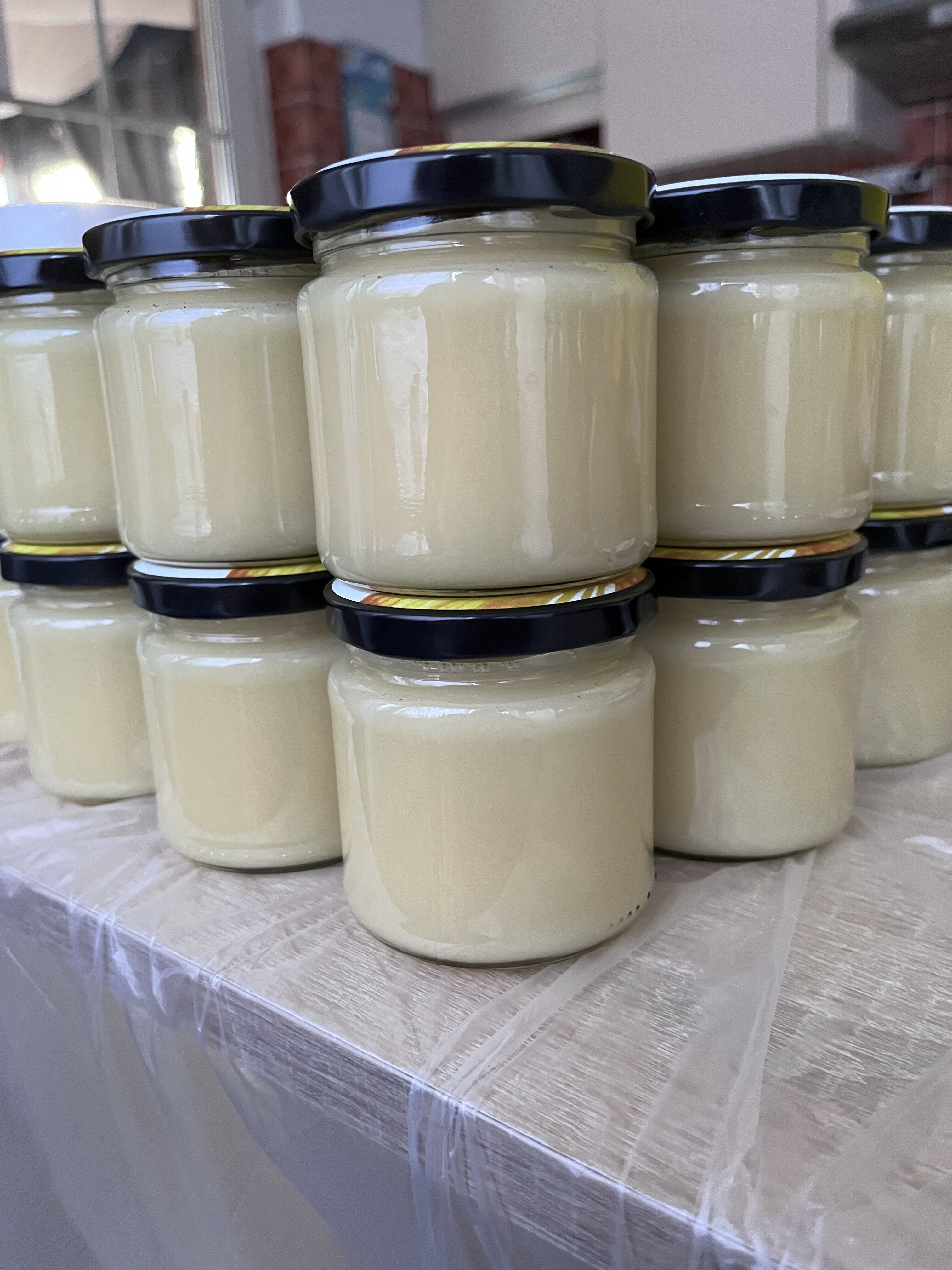 Honigbienen auf einer Wabe in Nahaufnahme