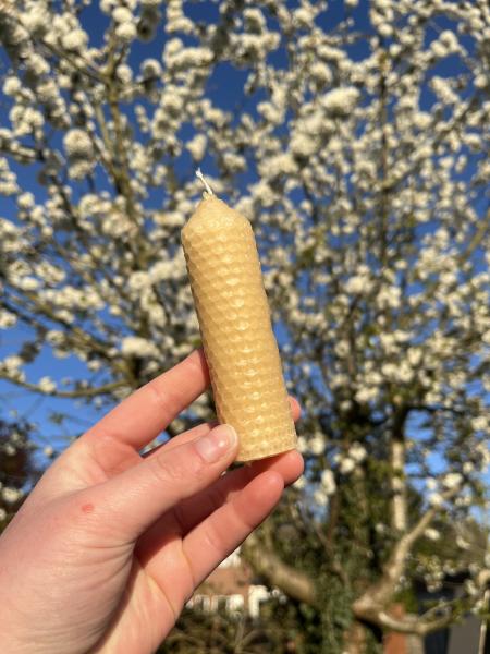 Handgedrehte Bienenwachskerzen (versch. größen)